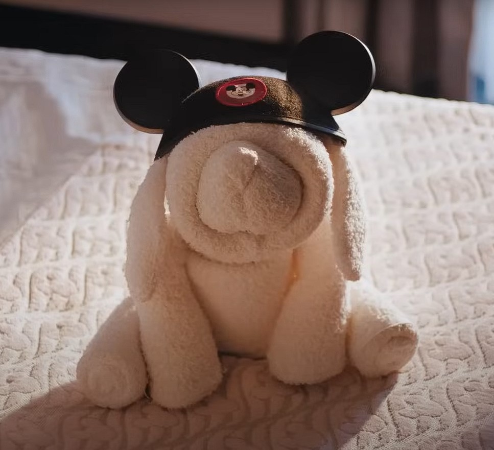 Disney Cruise Line Towel Animal